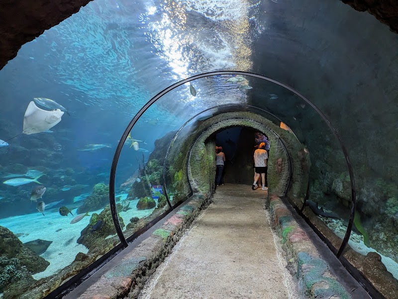 Downtown Aquarium, Denver