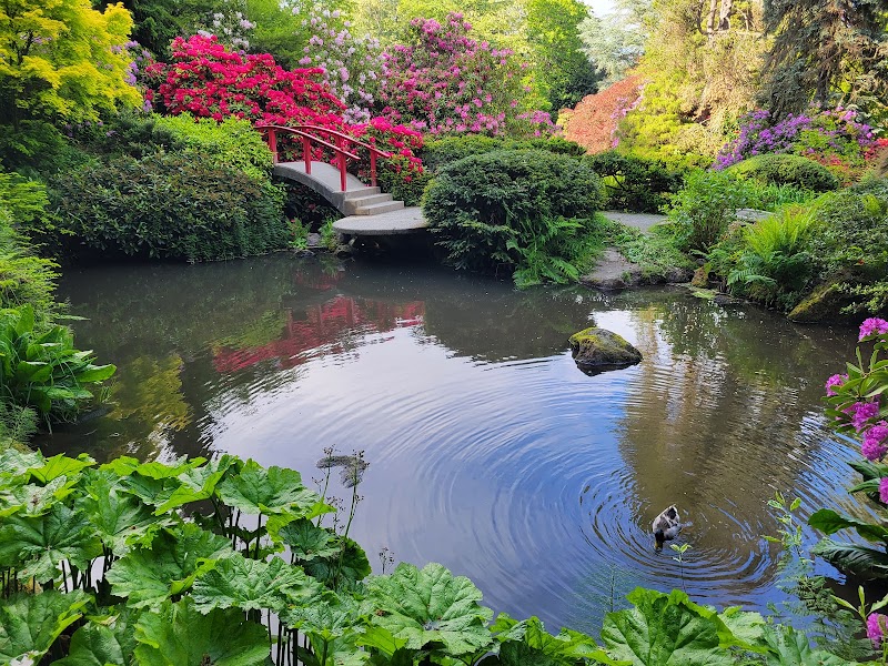 Kubota Garden, Seattle