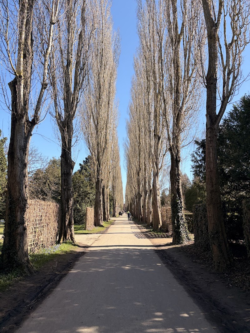 Assistens Cemetery, Copenhagen