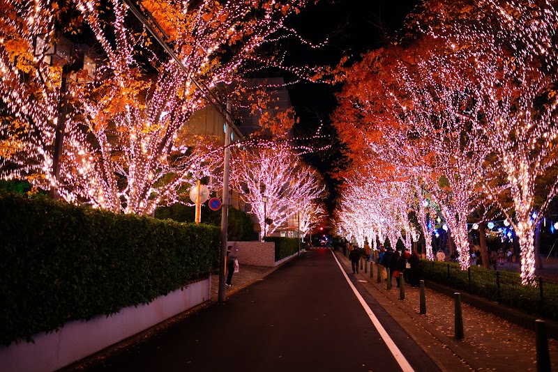 Nagura Park, Kyoto