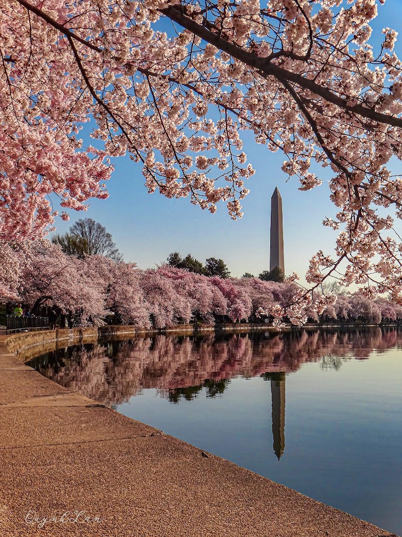 Tidal Basin, Washington