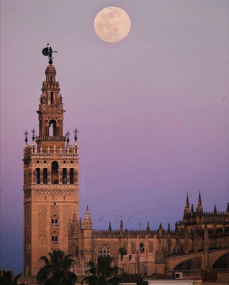 La Giralda, Seville