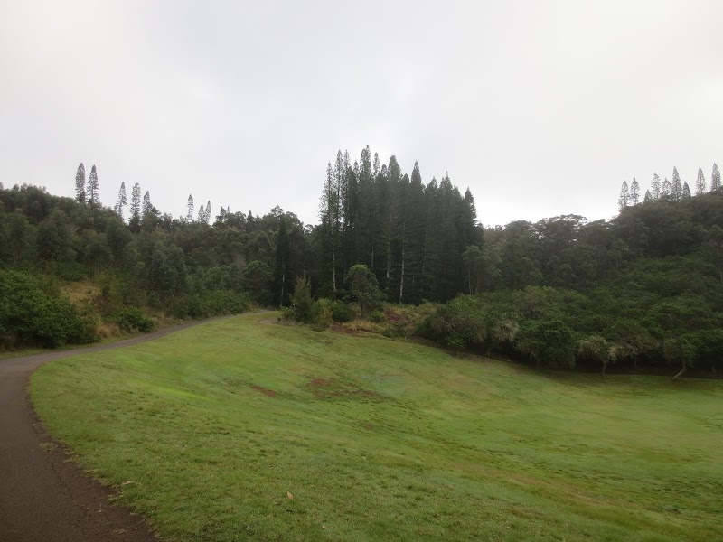 Munro Trail, Lanai