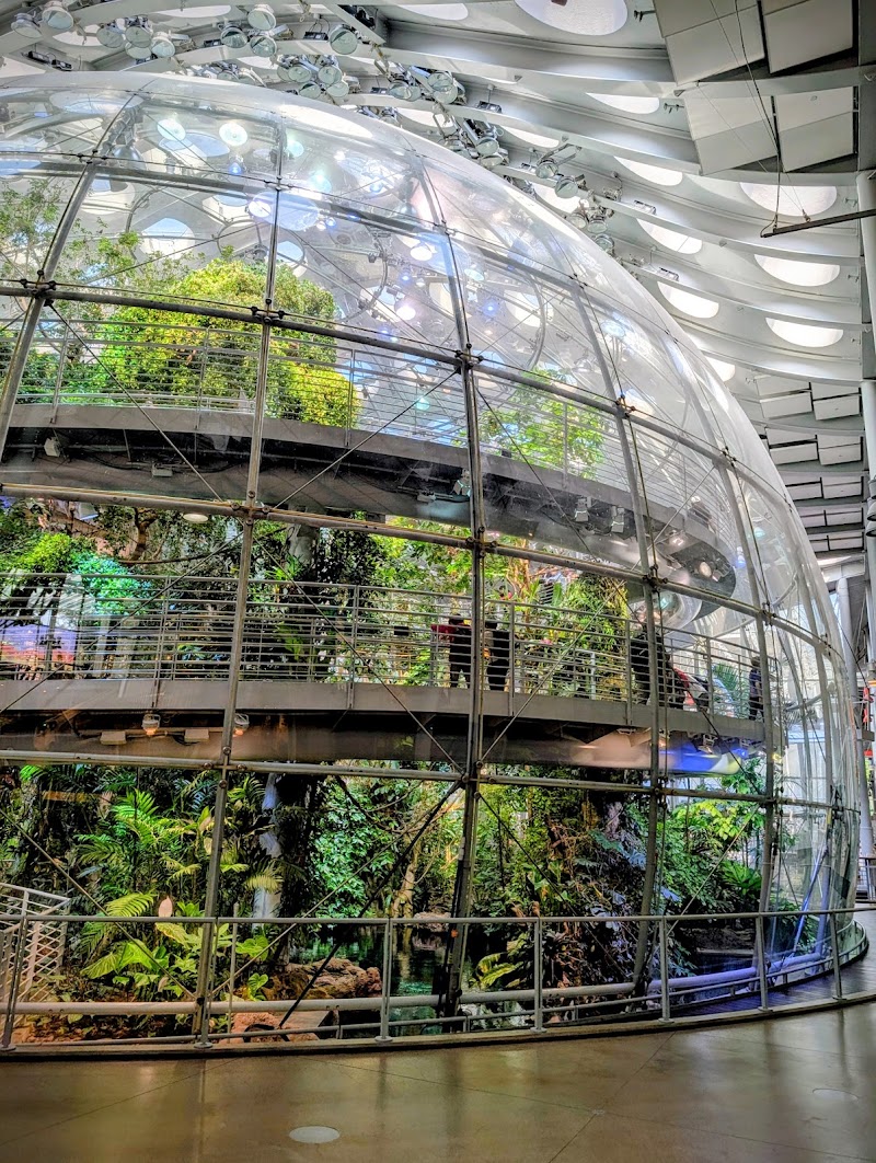 California Academy of Sciences, San Francisco