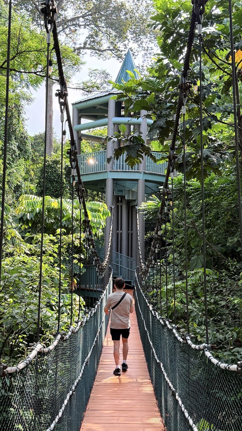 KL Forest Eco Park Canopy Walk, Kuala Lumpur