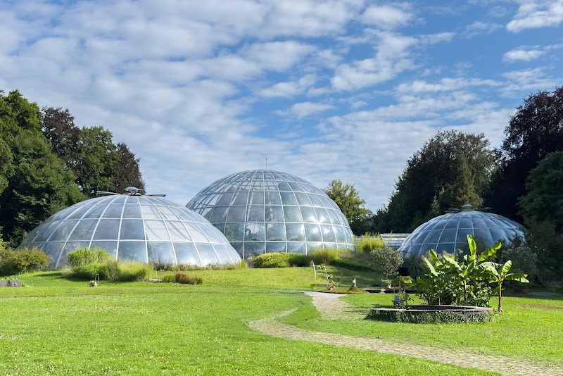 Botanical Garden, Zürich