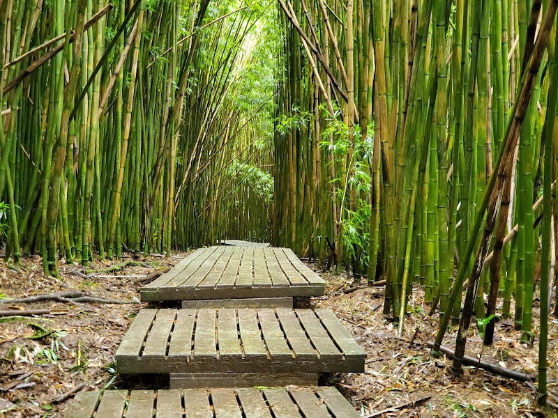 Pipiwai Trail, Maui