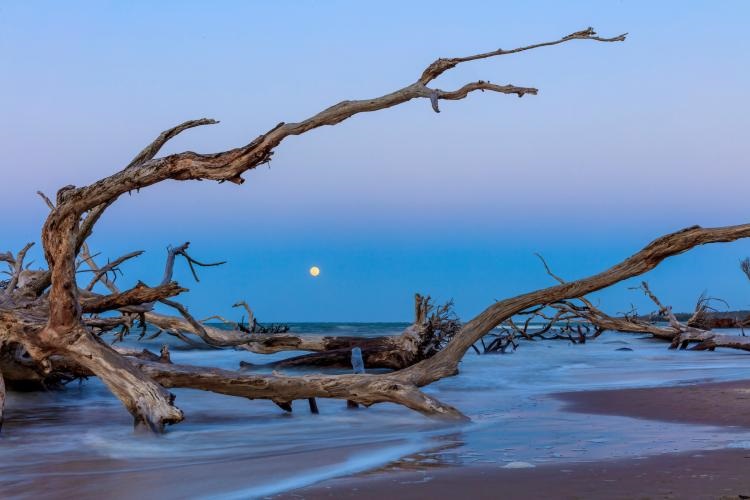 Big Talbot Island State Park, Jacksonville