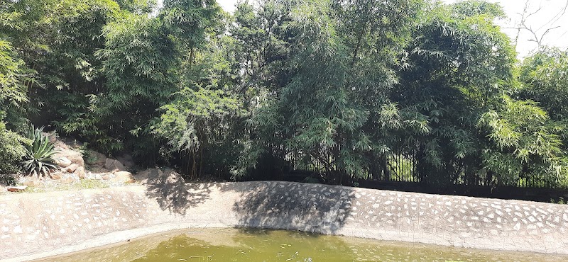 Kasu Brahmananda Reddy National Park, Hyderabad