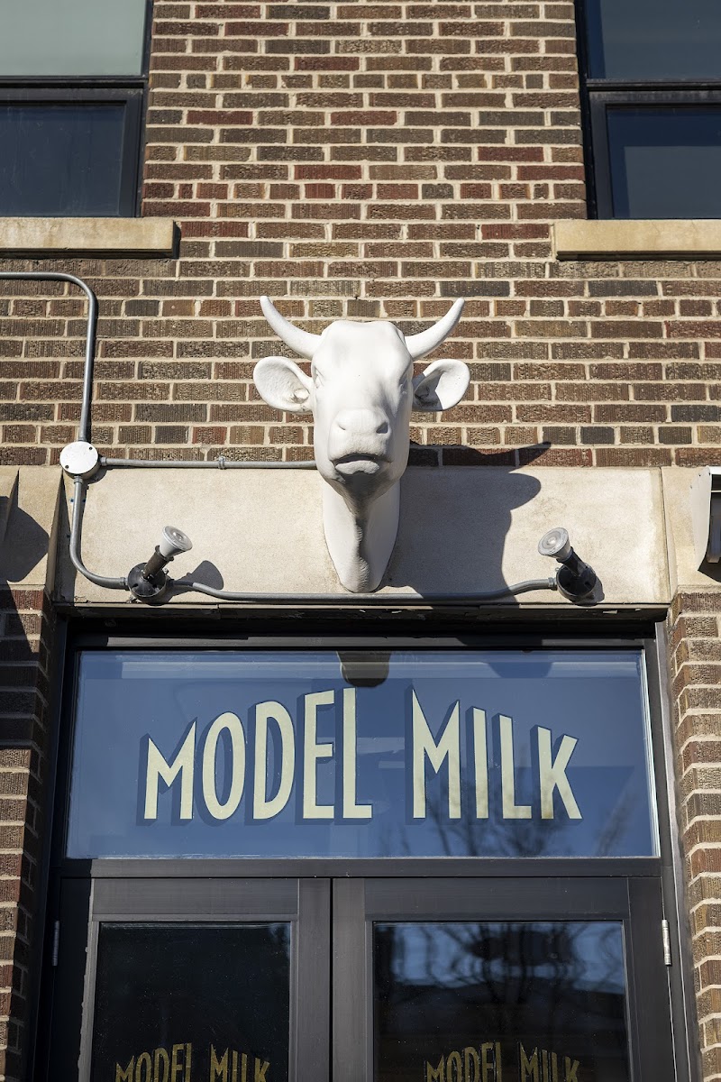 Model Milk, Calgary