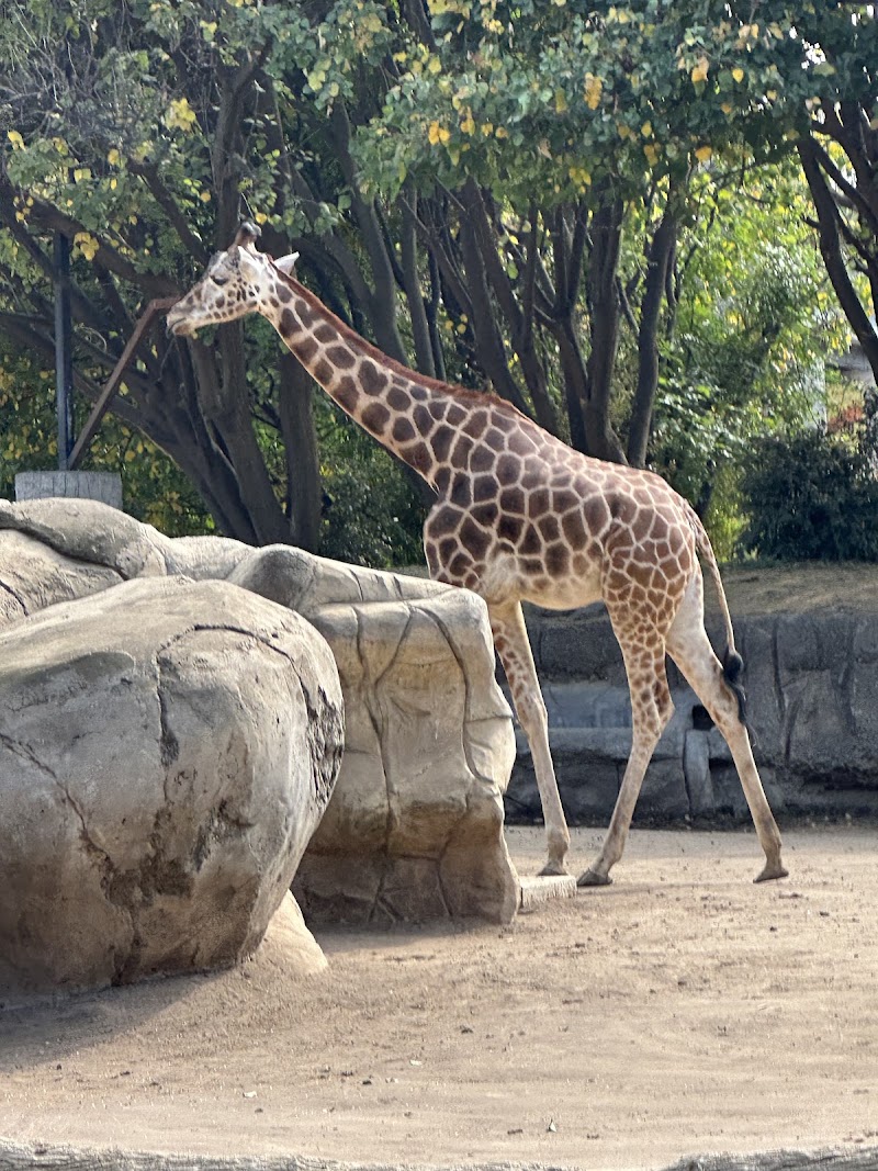 Chapultepec Zoo, Mexico City