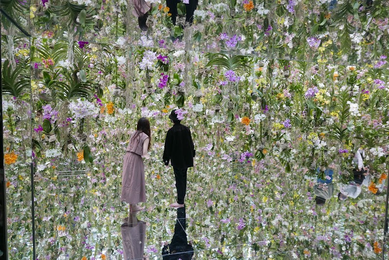 teamLab Planets TOKYO DMM, Tokyo