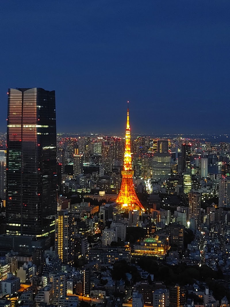Roppongi Hills - Tokyo City View, Tokyo