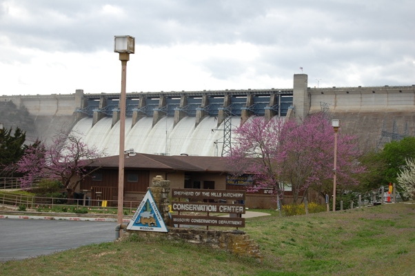Shepherd of the Hills Fish Hatchery, Branson