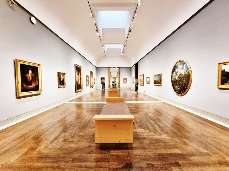 The Museum of Fine Arts, Houston, Houston