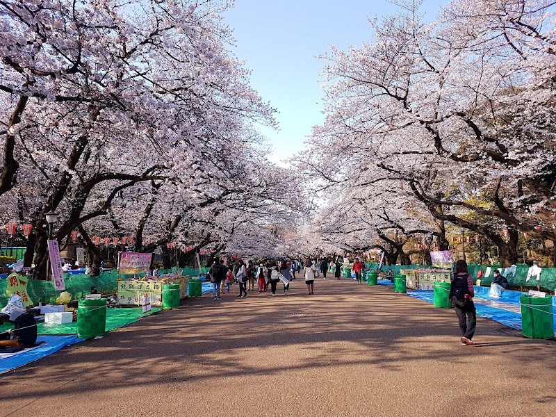Ueno Park, Tokyo