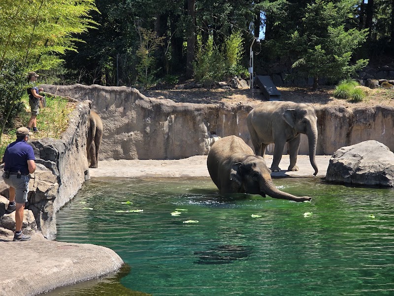 Oregon Zoo, Portland