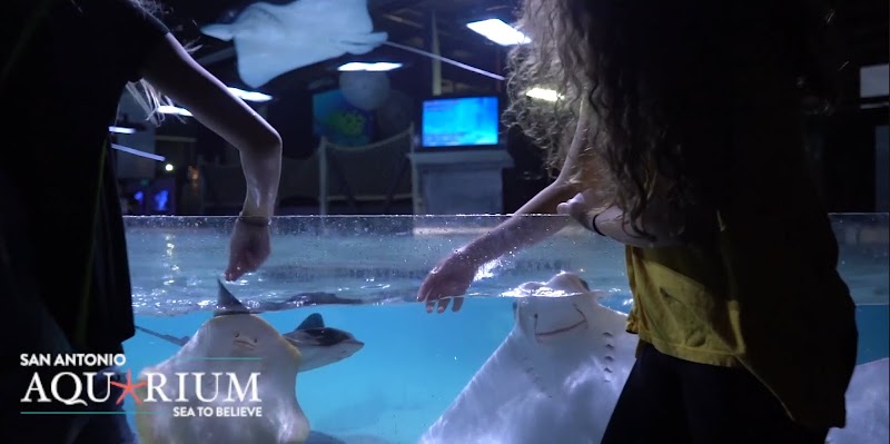 San Antonio Aquarium, San Antonio