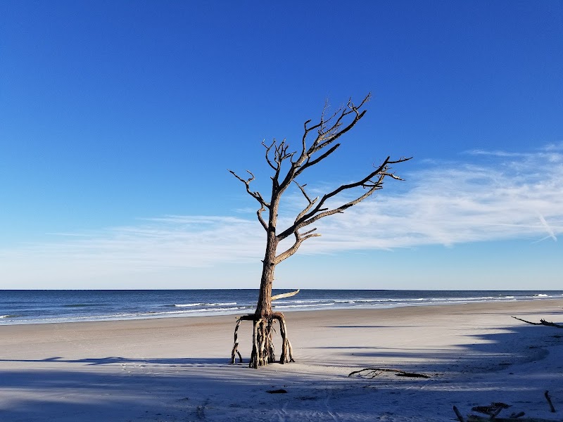 Little Talbot Island State Park, Jacksonville