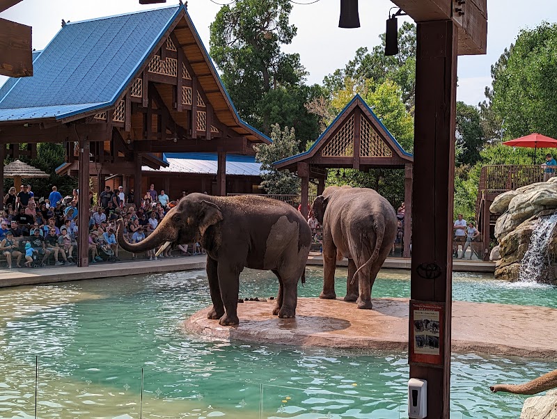 Denver Zoo, Denver