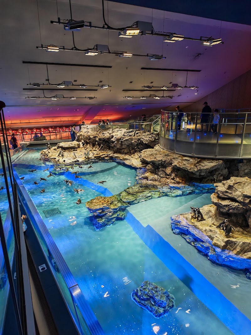 Sumida Aquarium, Tokyo