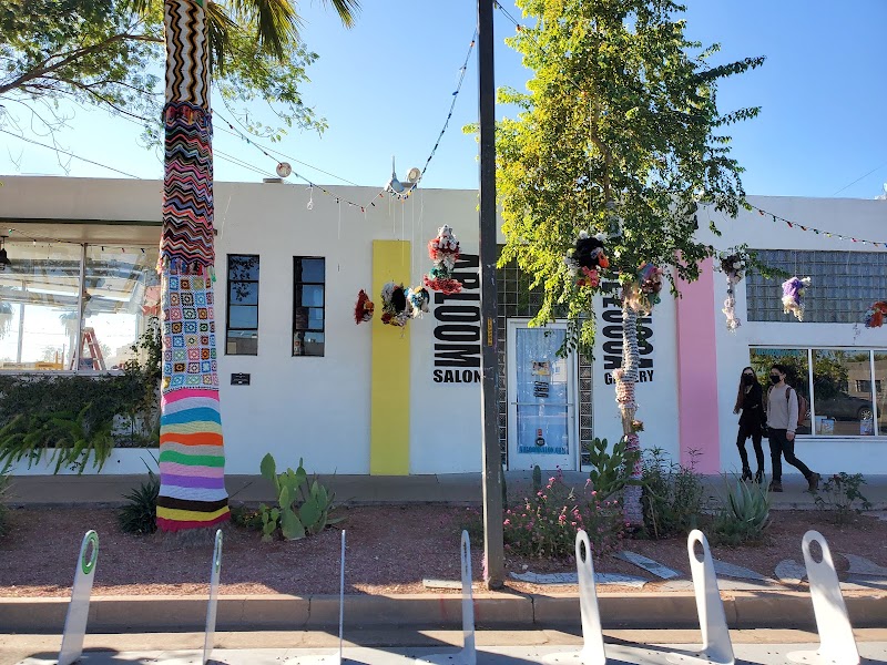 Abe Zucca Gallery, Phoenix