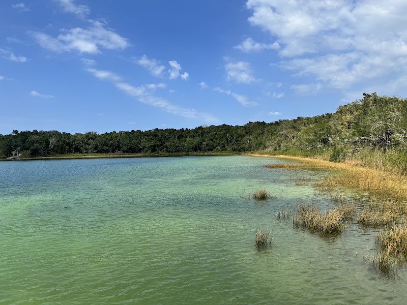 Punta Laguna Nature Reserve, Tulum