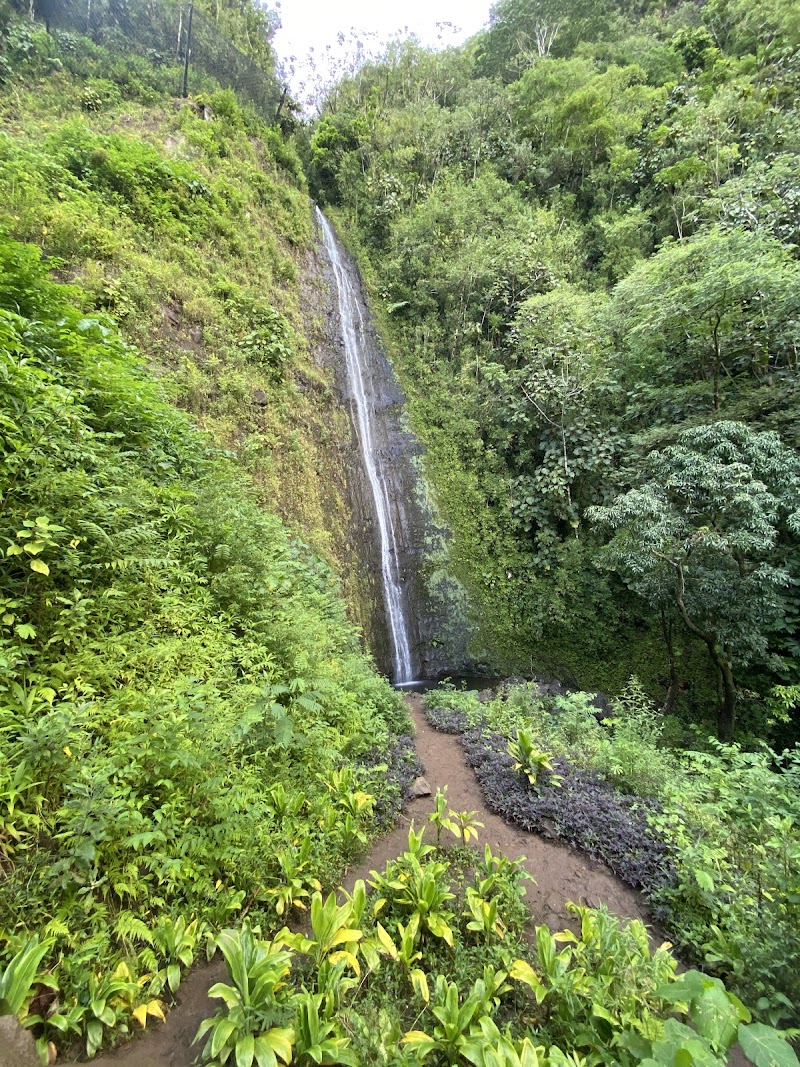 Manoa Falls, O‘ahu