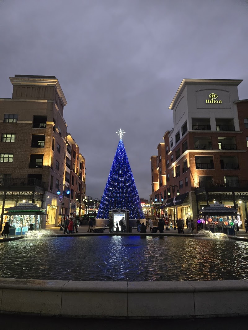 Branson Landing, Branson