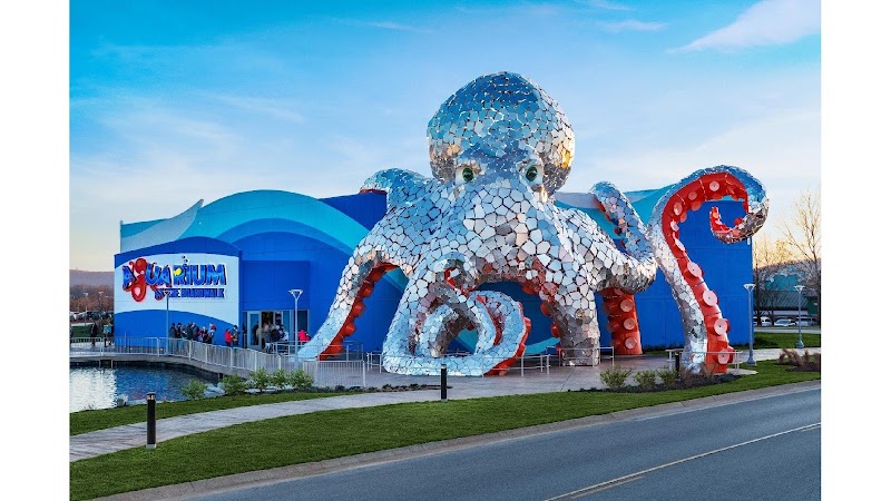 Aquarium at the Boardwalk, Branson