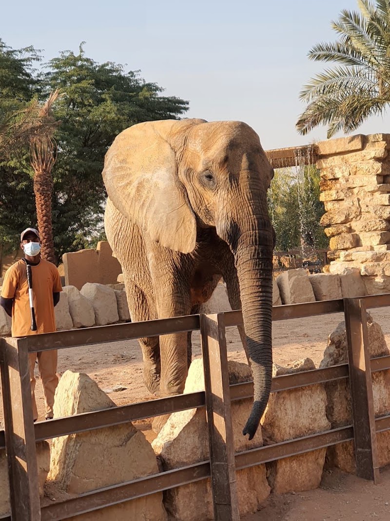 Riyadh Zoo, Riyadh