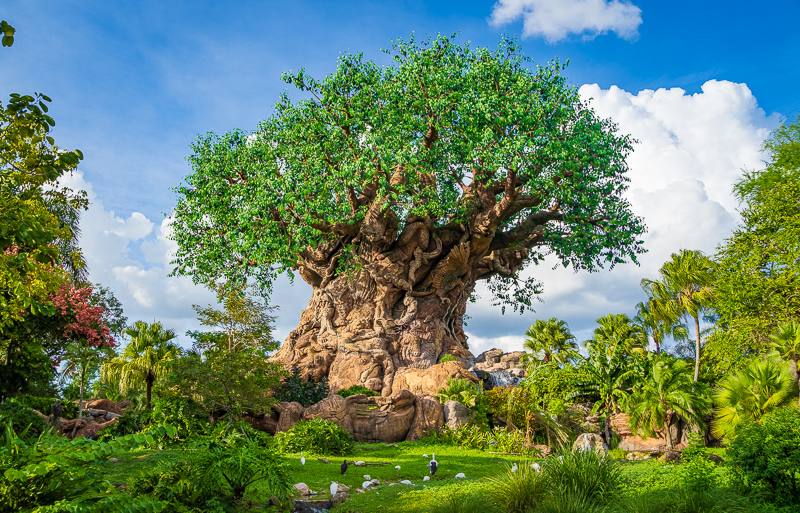Disney's Animal Kingdom Theme Park, Orlando