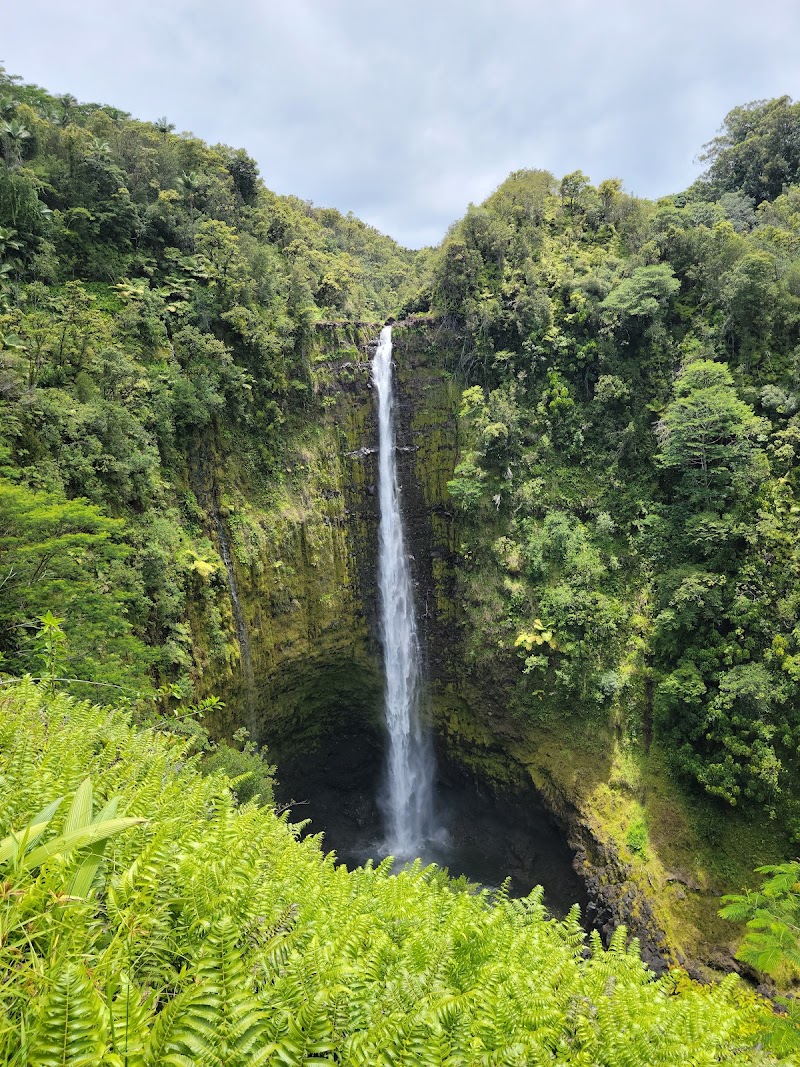 ʻAkaka Falls State Park, Island of Hawai'i