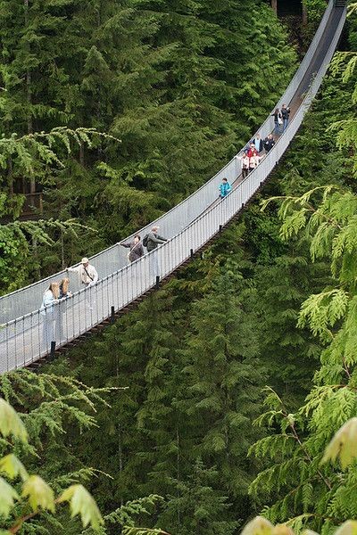 Capilano Suspension Bridge Park, Vancouver