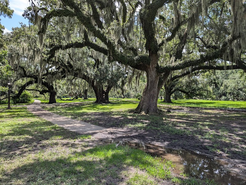 New Orleans City Park, New Orleans