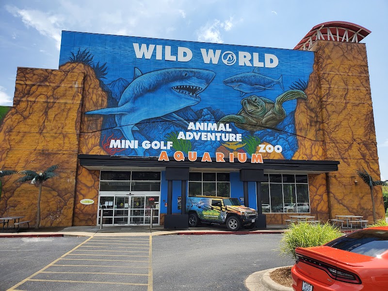 Branson's Wild World, Branson