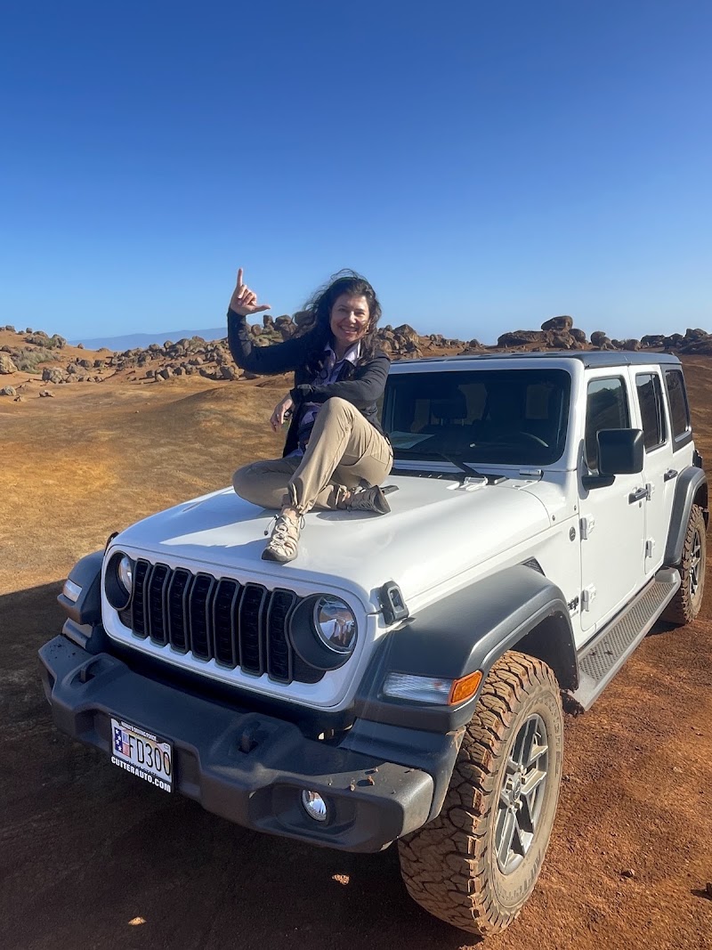 Lanai Cheap Jeeps, Lanai