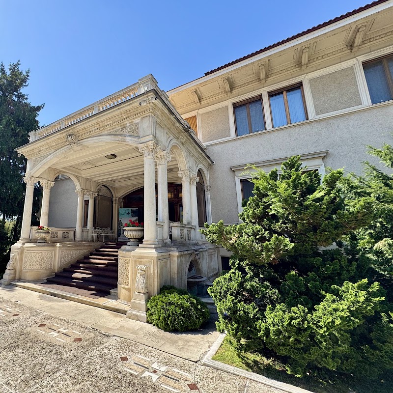 Ceaușescu Mansion, Bucharest
