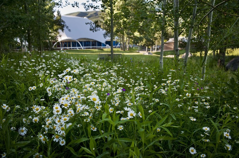 Aspen Music Festival and School, Aspen