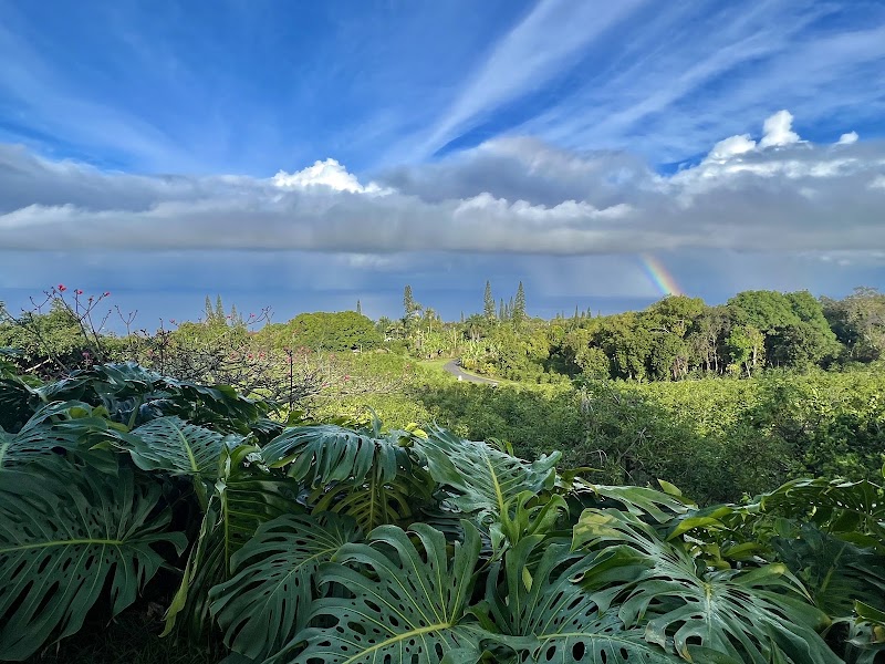 Heavenly Hawaiian Kona Coffee Farm Tours & Konalani Coffee Bar, Island of Hawai'i