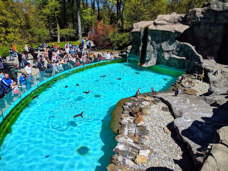 Kraków Zoo, Kraków