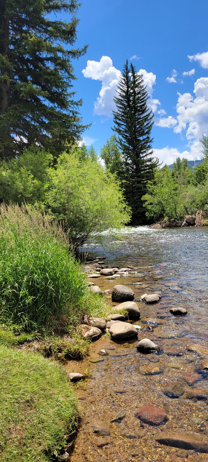 Henry Stein Park, Aspen