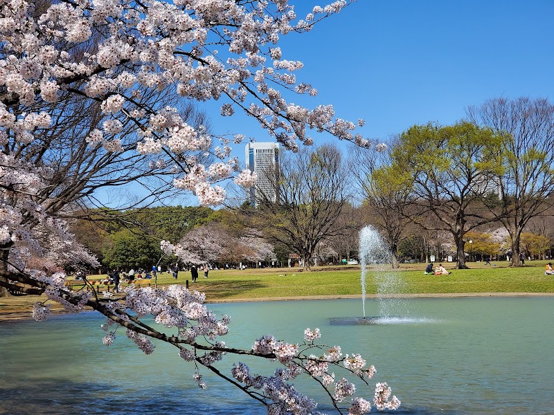 Yoyogi Park, Tokyo