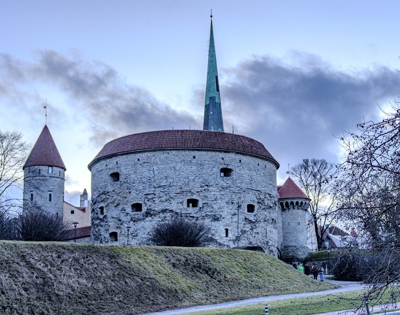 Fat Margaret, Tallinn