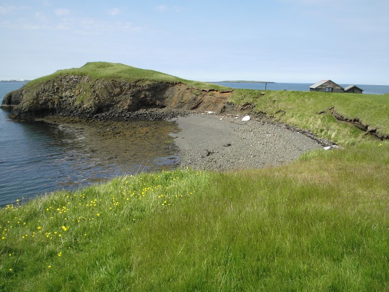 Videy Island, Reykjavík