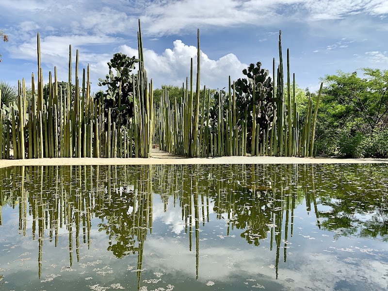 Jardín Etnobotánico de Oaxaca, Oaxaca