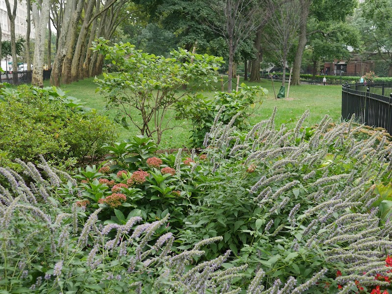 Theodore Roosevelt Park, New York City