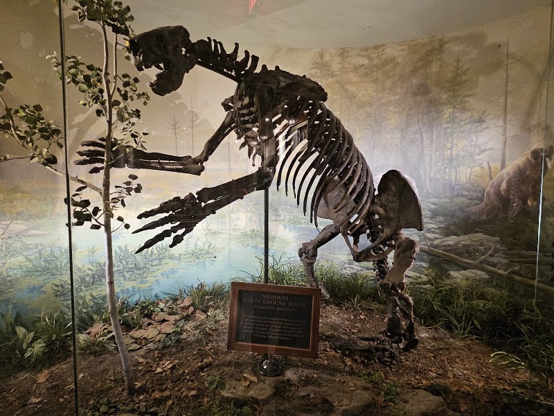 Ancient Ozarks Natural History Museum, Branson