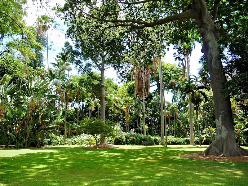 Foster Botanical Garden, Honolulu