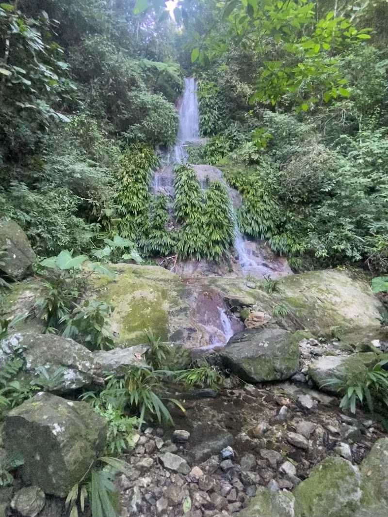 Cascada El Bejuco, La Ceiba